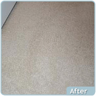 Carpet Dye Spotting (After)