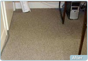Custom Solutions Carpet Cleaning After