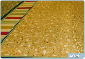 Custom Solutions Carpet Cleaning Before