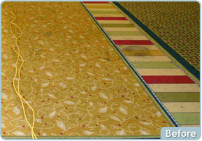 Custom Solutions Carpet Cleaning Before