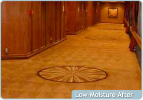 Custom Solutions Carpet Cleaning After
