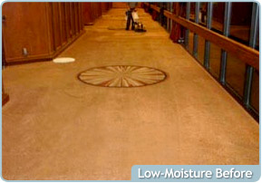 Custom Solutions Carpet Cleaning Before
